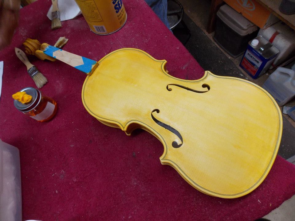 Cello's little brother --  1st Stain.
